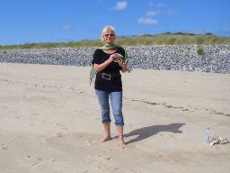 Sylt 2010